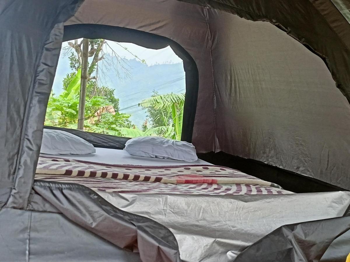 Отель Freedom Camp Элла Экстерьер фото