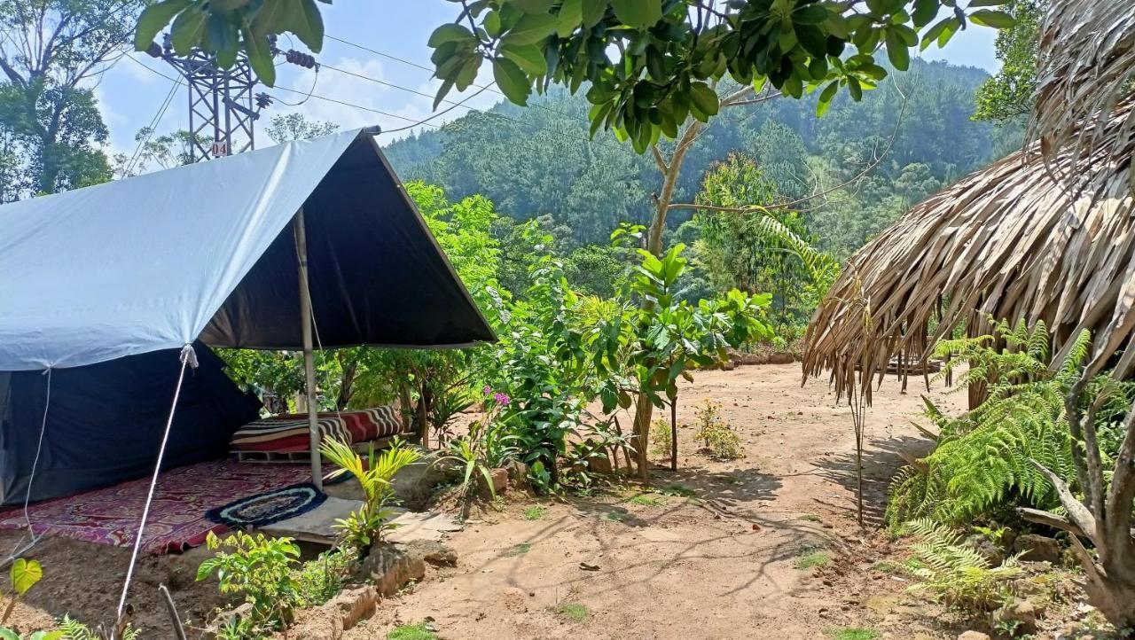 Отель Freedom Camp Элла Экстерьер фото