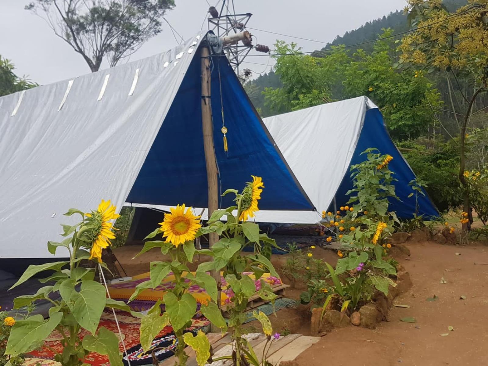Отель Freedom Camp Элла Номер фото