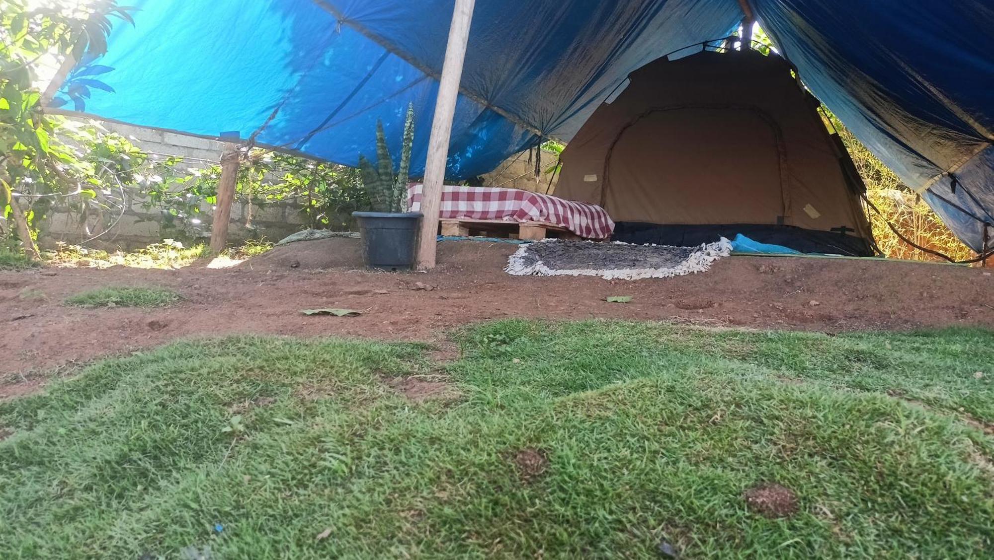 Отель Freedom Camp Элла Экстерьер фото