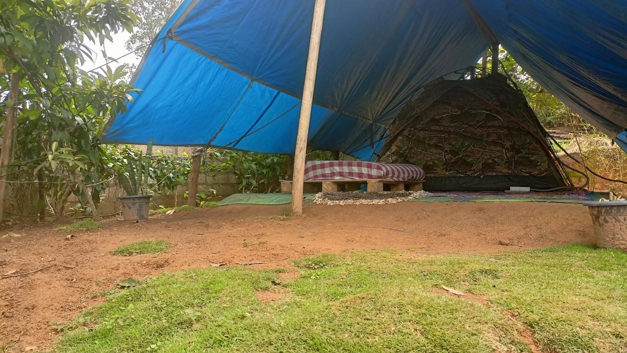 Отель Freedom Camp Элла Номер фото